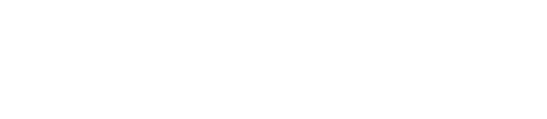 Internal Audit Foundation