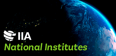 A globe image to represent The IIA institutes all over the world