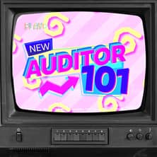 New Auditor 101